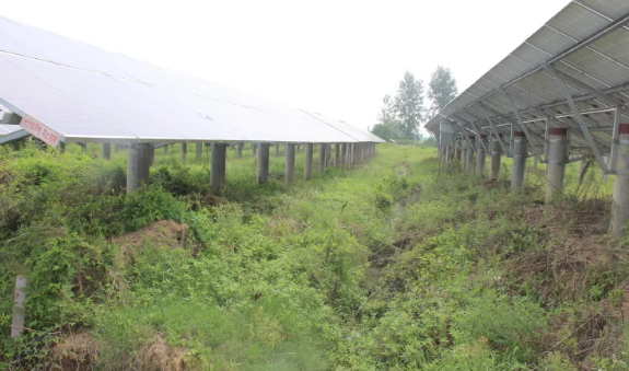 涉案光伏發電站電纜損壞原因鑒定(圖1) 光伏發電站